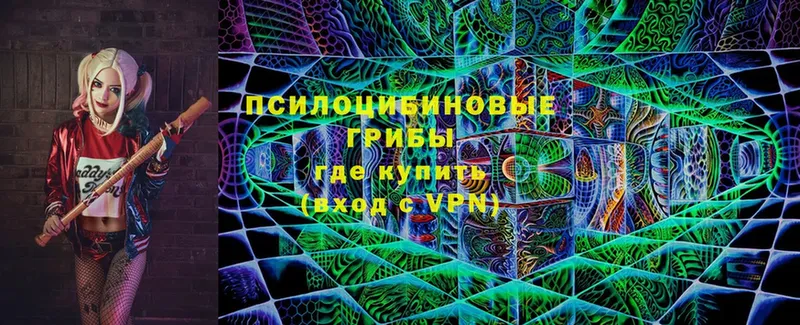 Псилоцибиновые грибы Psilocybine cubensis Городец